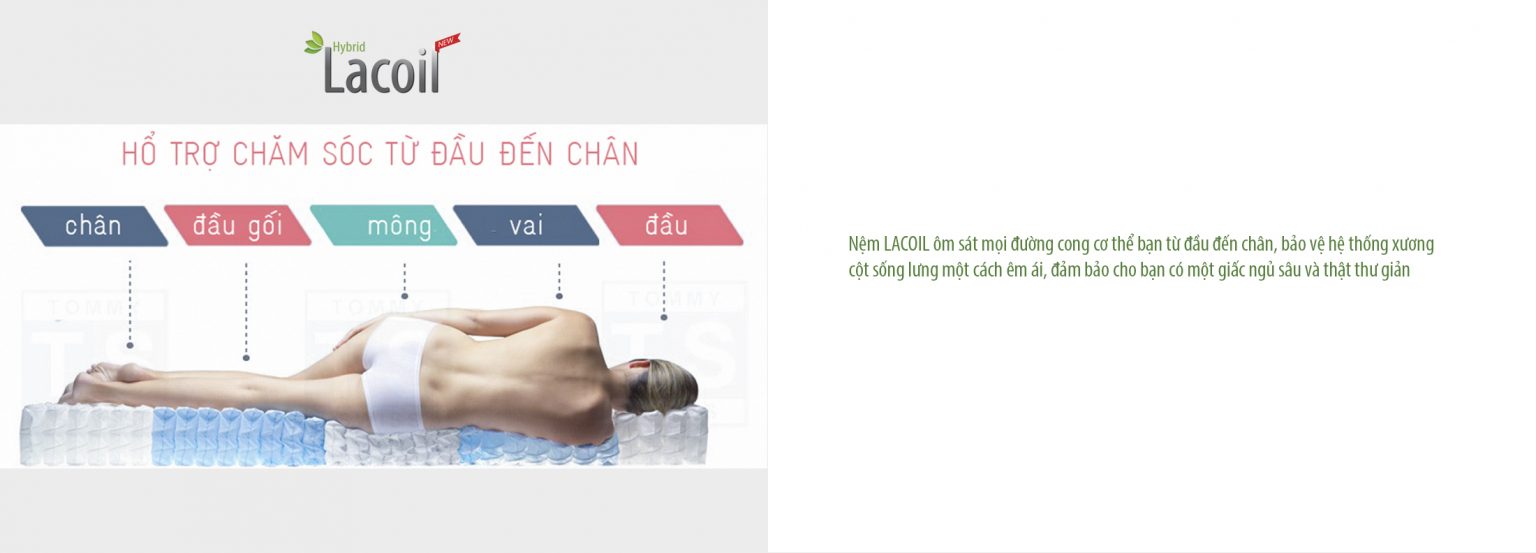 Nệm Lò Xo Túi Cao Su Lacoil Vạn Thành Nệm Lò Xo Túi Cao Su Lacoil Vạn Thành