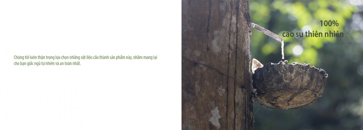 Nệm Lò Xo Túi Cao Su Lacoil Vạn Thành Nệm Lò Xo Túi Cao Su Lacoil Vạn Thành